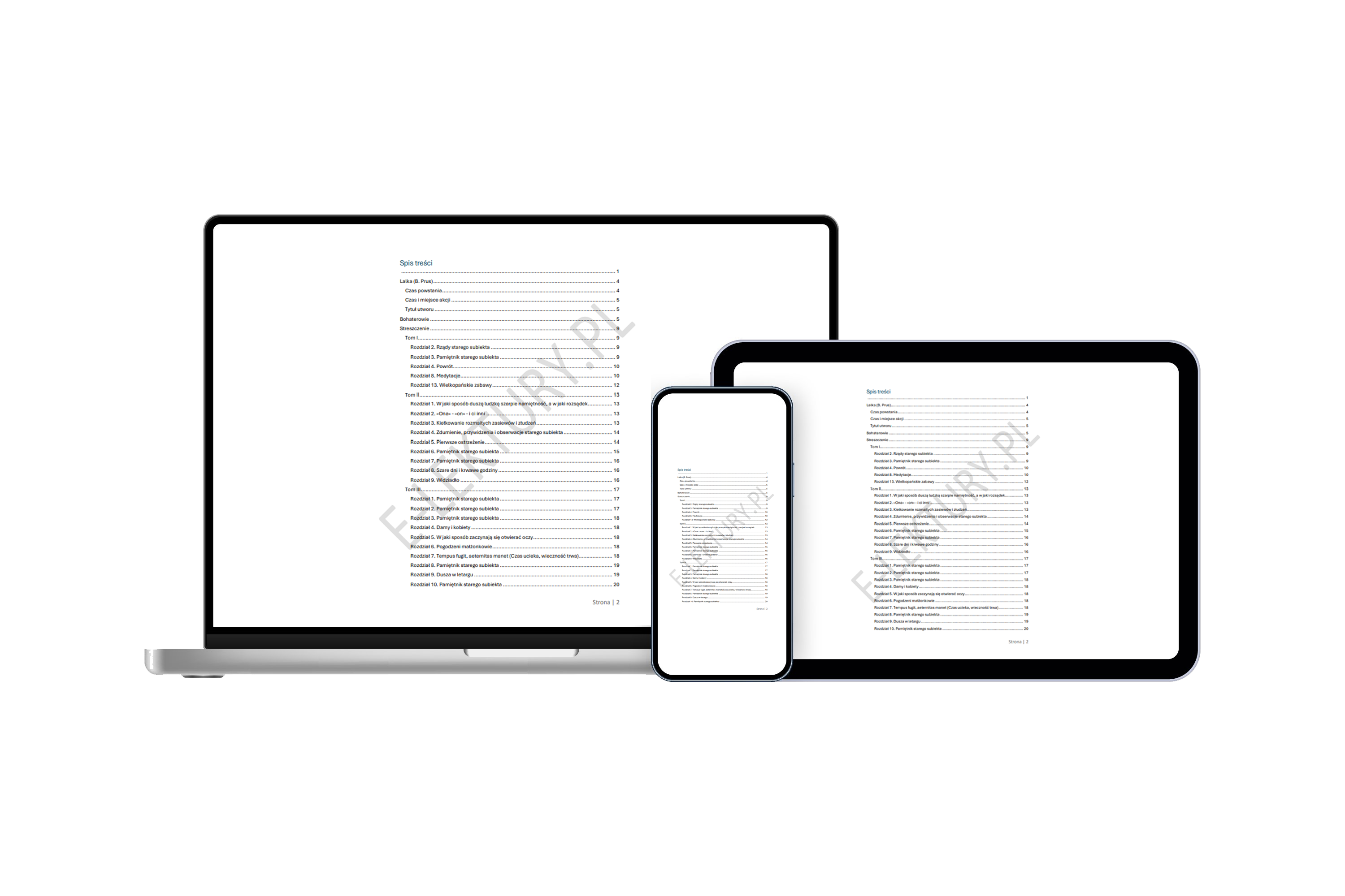 Podgląd opracowania